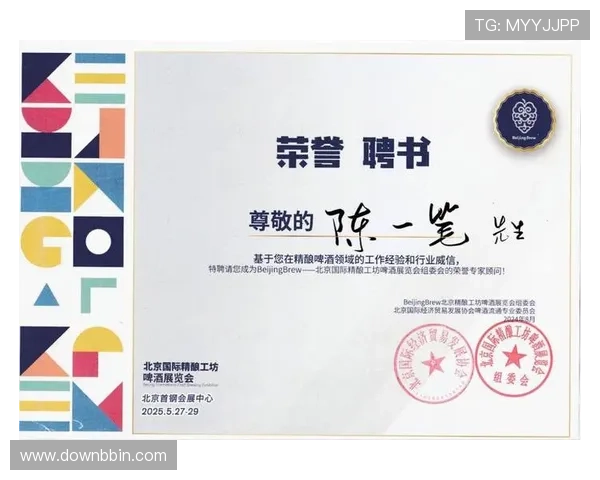 BBIN国际版:用户评价与行业专家对其安全性能的全面分析 BBIN国际版:用户评价与行业专家对其安全性能的全面分析