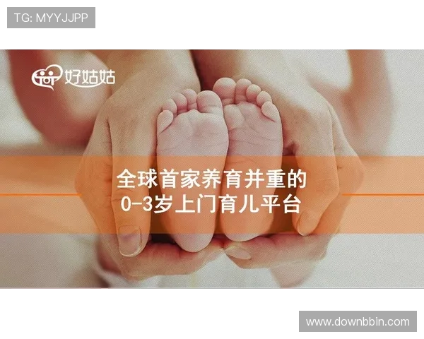 宝盈科技官网:客户服务支持与合作伙伴关系深度解析 宝盈科技官网:客户服务支持与合作伙伴关系深度解析