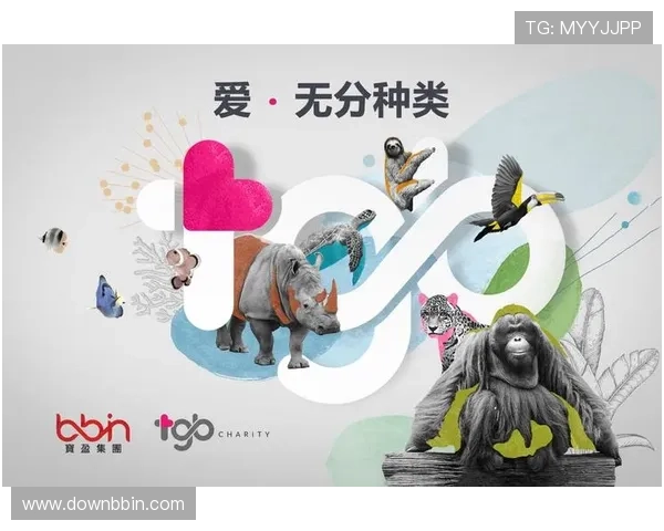 寶盈 bbin：客户服务体验提升方案与用户满意度调查