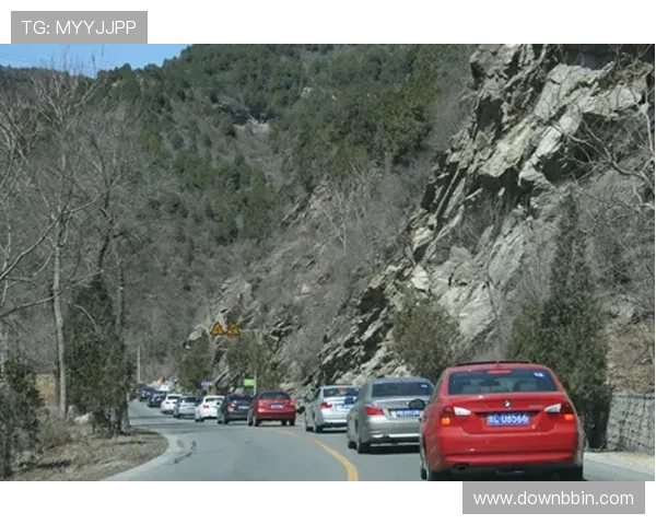 盈宝官网最新新闻动态，掌握公司最新发展与行业资讯